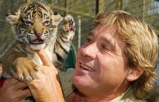 steve irwin